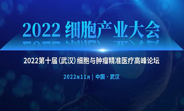 《人和小鼠多能性干细胞通用要求》